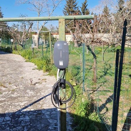 B&B Quattrostelle Cavallino Zewnętrze zdjęcie