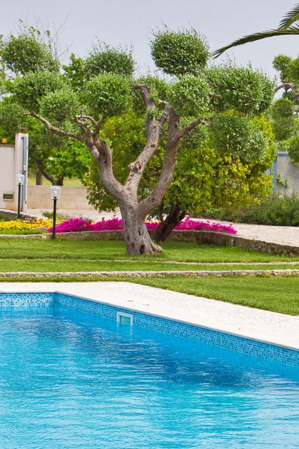 B&B Quattrostelle Cavallino Zewnętrze zdjęcie